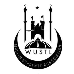 WUSTL MSA